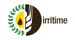 Irritime