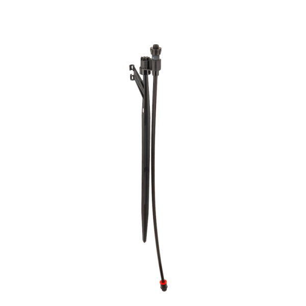MP-Stake_009_RT