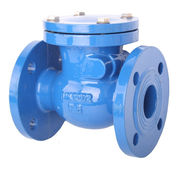 3-Flanged-Ductile-Iron-Swing-Non-Return-Valve-1